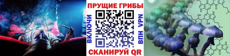 дарк нет наркотические препараты  Гай  Псилоцибиновые грибы MAGIC MUSHROOMS 